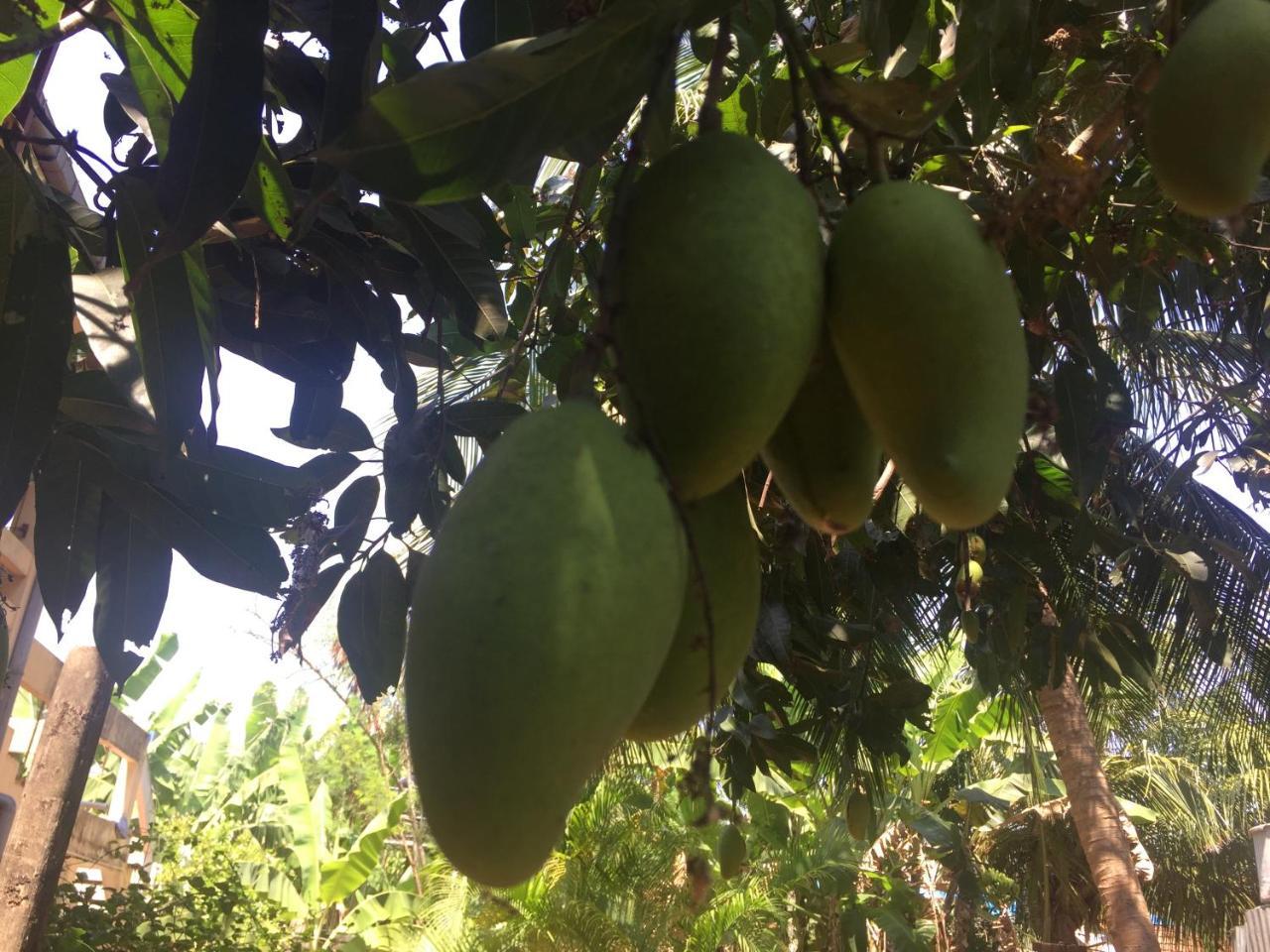 Nallur Residence Jaffna Buitenkant foto